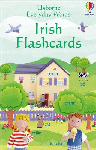 Cover image for 9780746067932 - Everyday Words in Irish Flashcards