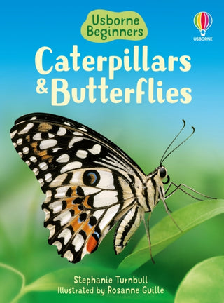 Supplemental image for 9780746074473 - Caterpillars and Butterflies