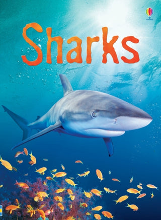 Cover image for 9780746074756 - Sharks