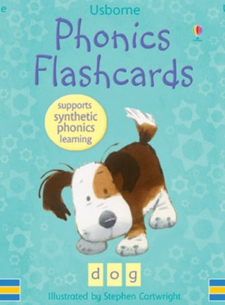 Cover image for 9780746078891 - Phonics Flashcards