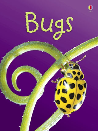 Cover image for 9780746080375 - Bugs