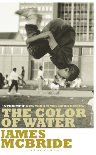 Cover image for 9780747538325 - The Color of Water
