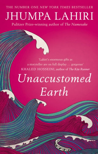 Supplemental image for 9780747596592 - Unaccustomed Earth