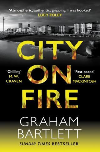 Cover image for 9780749030513 - City on Fire