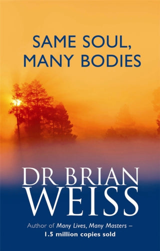 Cover image for 9780749925413 - Same Soul, Many Bodies