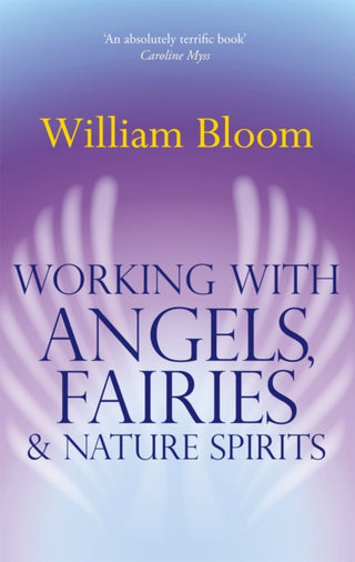 Cover image for 9780749941161 - Working With Angels, Fairies And Nature Spirits