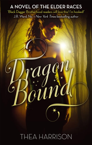 Cover image for 9780749957063 - Dragon Bound