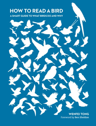 Cover image for 9780750999977 - How to Read a Bird