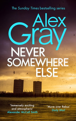 Cover image for 9780751542912 - Never Somewhere Else