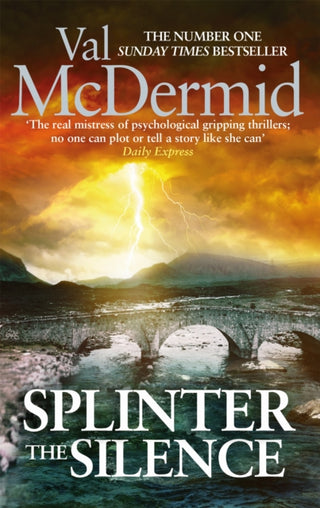 Cover image for 9780751561425 - Splinter the Silence