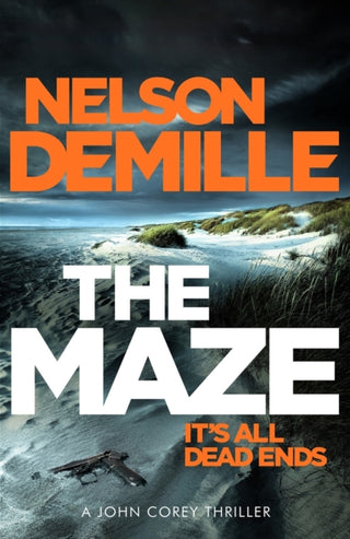 Cover image for 9780751565928 - The Maze