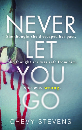 Cover image for 9780751569186 - Never Let You Go