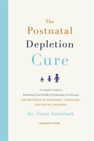 Cover image for 9780751573381 - The Postnatal Depletion Cure