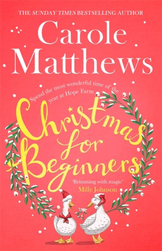 Cover image for 9780751580136 - Christmas for Beginners