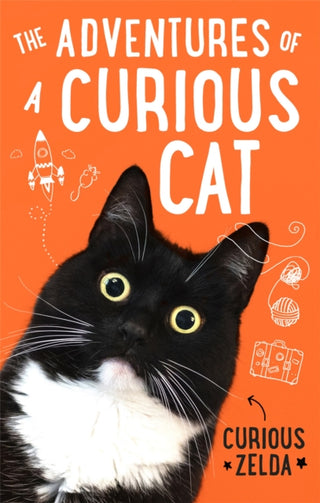 Supplemental image for 9780751581195 - The Adventures of a Curious Cat
