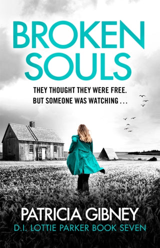 Cover image for 9780751582673 - Broken Souls