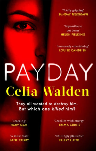 Cover image for 9780751583151 - Payday