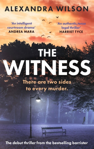 Cover image for 9780751583380 - The Witness