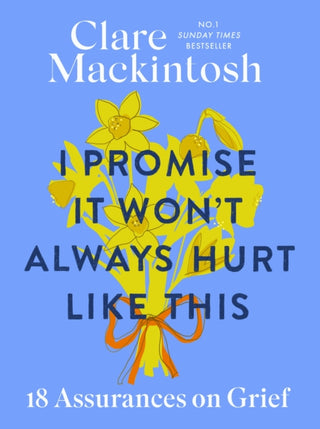 Cover image for 9780751584981 - I Promise It Won't Always Hurt Like This
