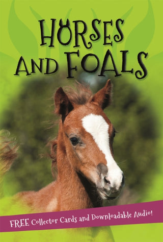 Cover image for 9780753442524 - It's all about... Horses and Foals