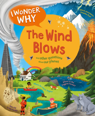 Cover image for 9780753448786 - I Wonder Why The Wind Blows