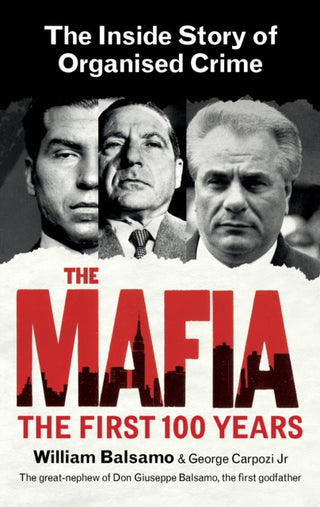 Cover image for 9780753554326 - The Mafia