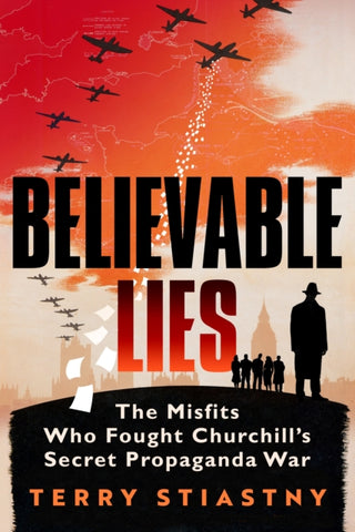 Cover image for 9780753559833 - Believable Lies