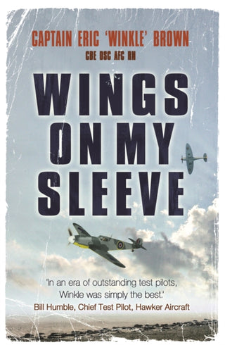 Cover image for 9780753822098 - Wings on My Sleeve
