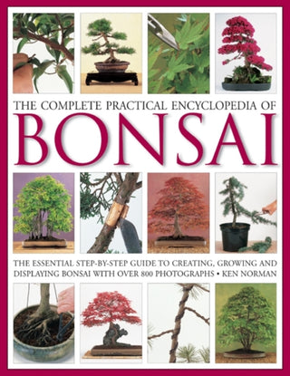 Cover image for 9780754821809 - Complete Practical Encyclopedia of Bonsai