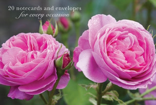 Cover image for 9780754825869 - Card Box of 20 Notecards and Envelopes: Pink Rose