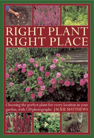 Cover image for 9780754826903 - Right Plant Right Place