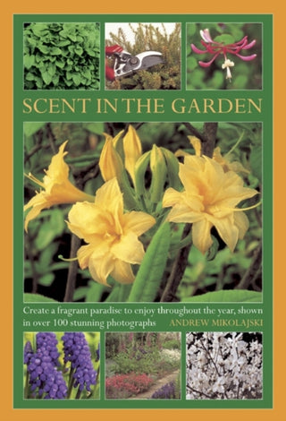 Cover image for 9780754827450 - Scent in the Garden