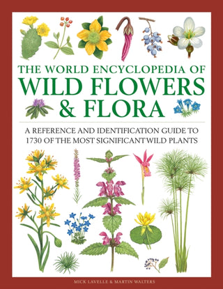 Cover image for 9780754833604 - The World Encyclopedia of Wild Flowers & Flora