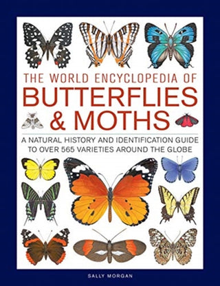 Cover image for 9780754834762 - Butterflies & Moths, The World Encyclopedia of