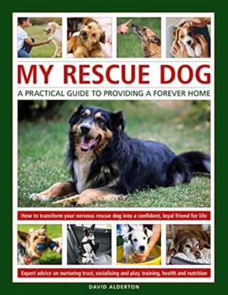 Cover image for 9780754835479 - My Rescue Dog