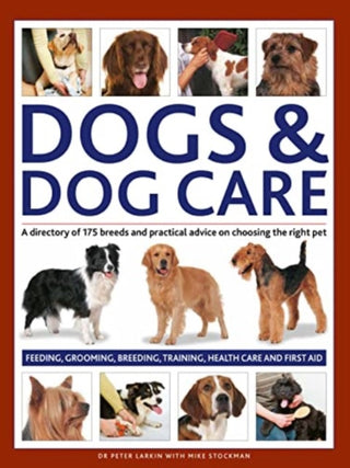 Cover image for 9780754835851 - Dogs & Dog Care