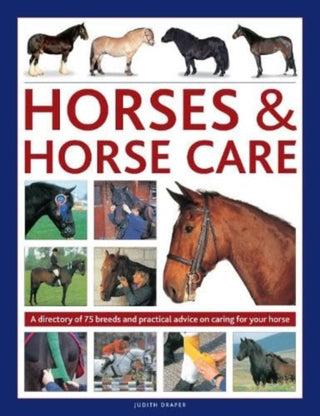 Cover image for 9780754835868 - Horses & Horse Care