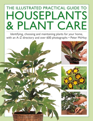 Cover image for 9780754836254 - The Illustrated Practical Guide to Houseplants & Plant Care