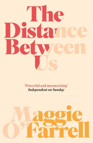 Cover image for 9780755302666 - The Distance Between Us