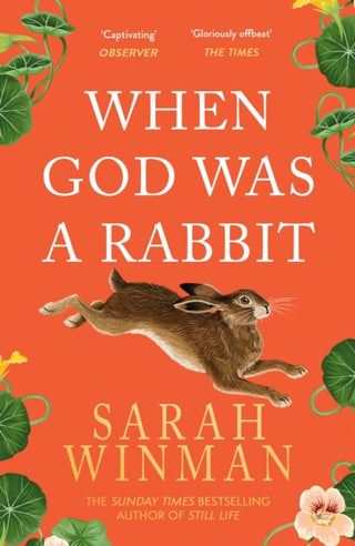 Cover image for 9780755379309 - When God was a Rabbit
