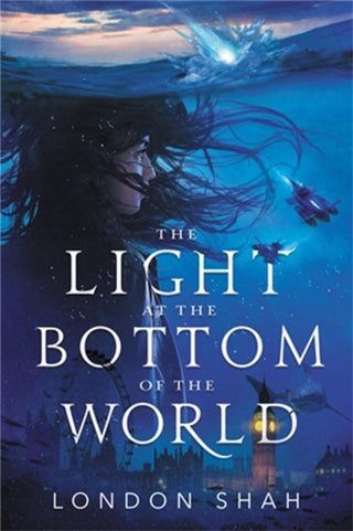 Cover image for 9780759555136 - The Light at the Bottom of the World
