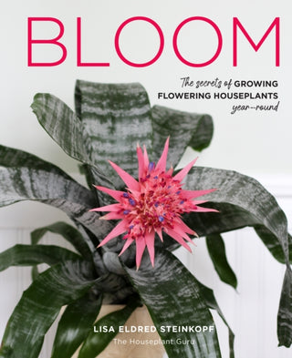 Cover image for 9780760374153 - Bloom