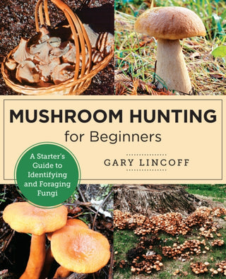 Cover image for 9780760383926 - Mushroom Hunting for Beginners