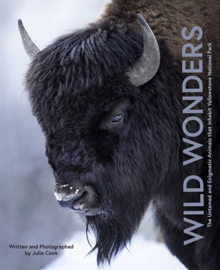Cover image for 9780760394083 - Wild Wonders
