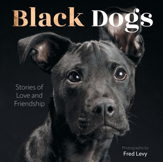 Cover image for 9780760394502 - Black Dogs