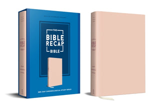 Cover image for 9780764245565 - The Bible Recap 365-Day Chronological Study Bible