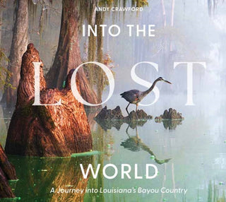 Cover image for 9780764371110 - Into the Lost World