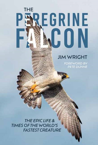 Cover image for 9780764371219 - The Peregrine Falcon