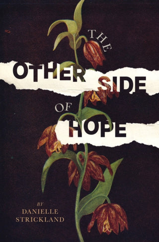 Supplemental image for 9780785230175 - The Other Side of Hope