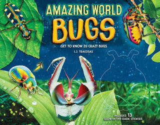 Cover image for 9780785841920 - Amazing World: Bugs